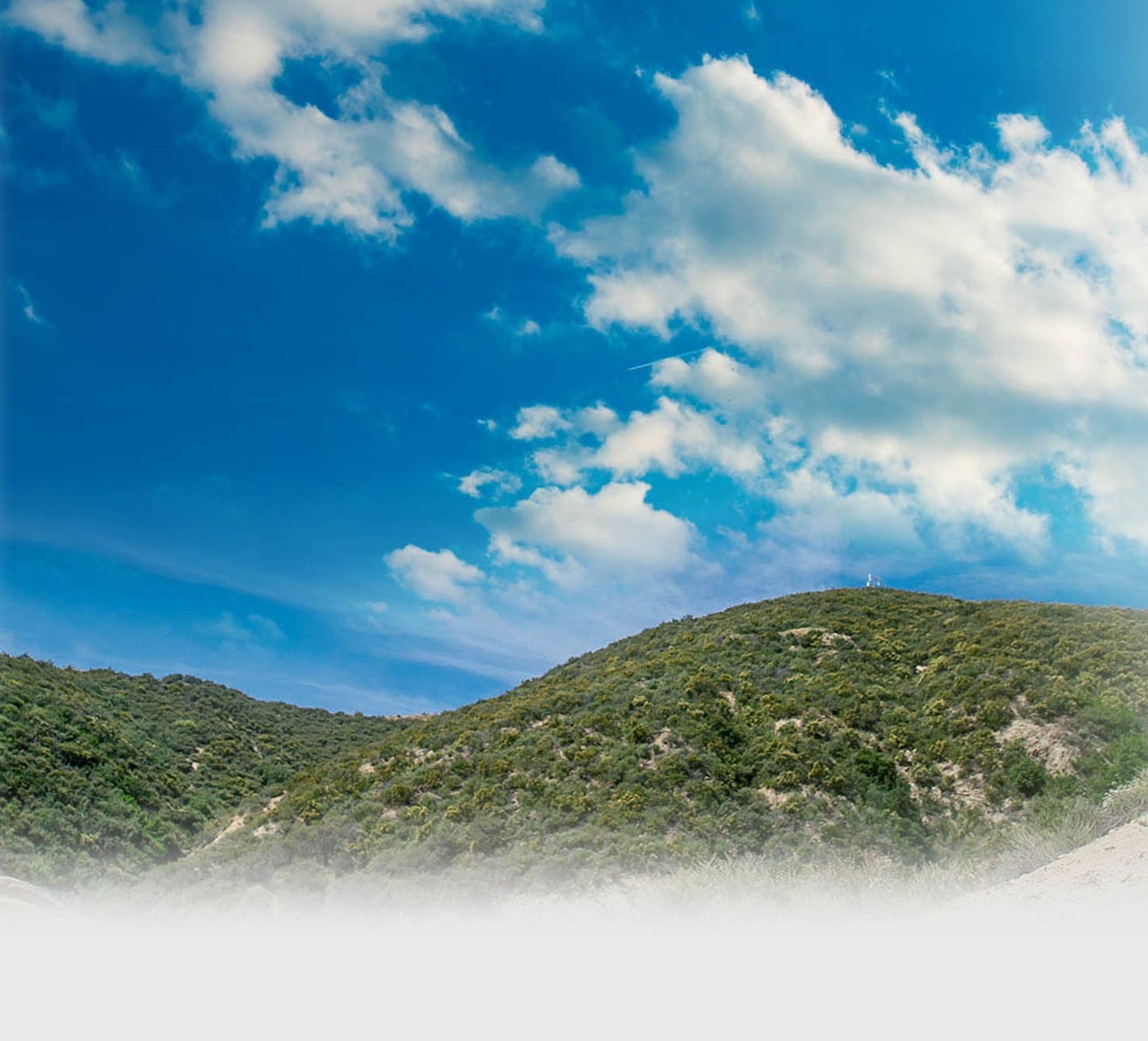 backgroundImage