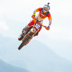 Acerbis chrániče páček X Force  